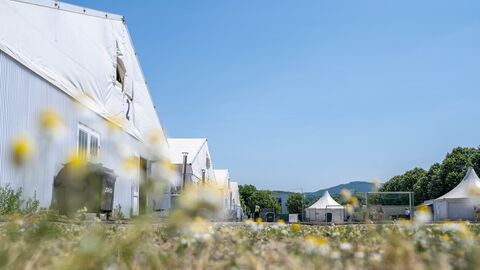 Weiße Zelte auf einer Wiese