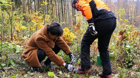 Europaministerin bei der Baumpflanzung mit Auszubildenden und Mitarbeitern von HessenForst